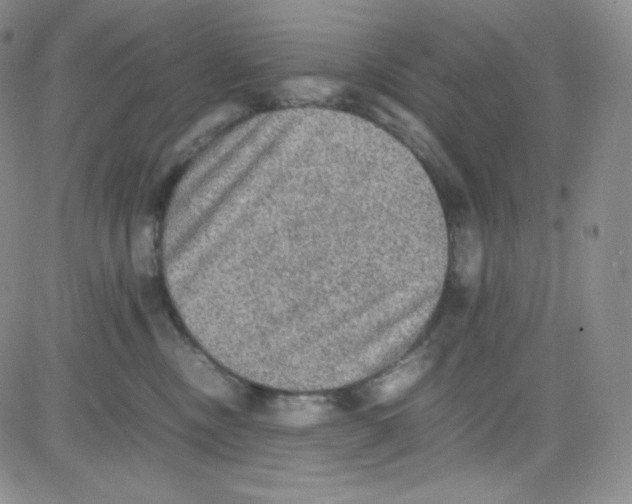 X0000080730378200701051105