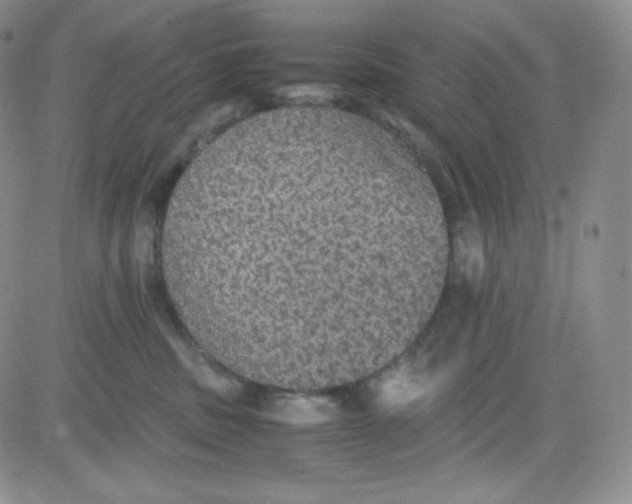 X0000080730379200701051105