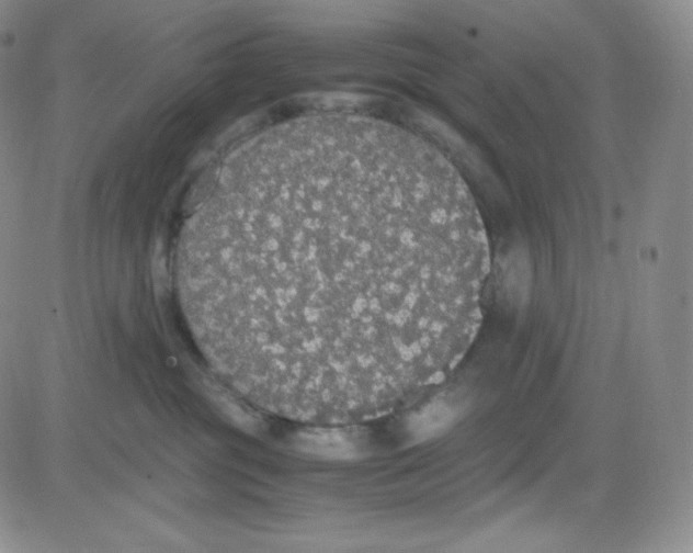 X0000080730381200701051105