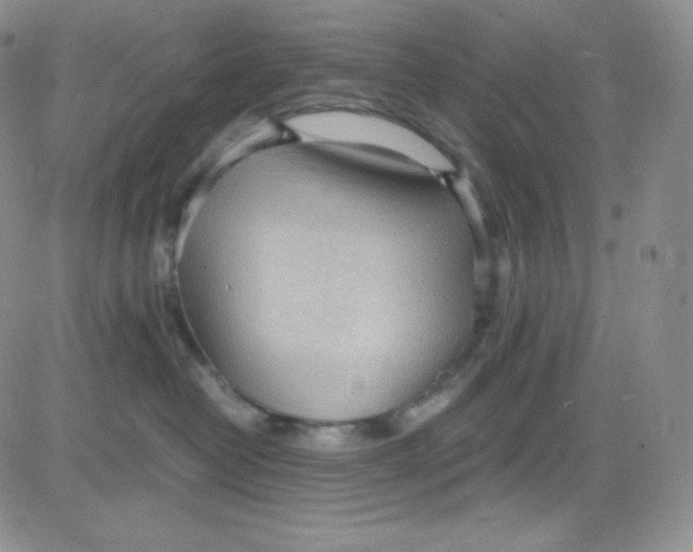 X0000080730382200701051105