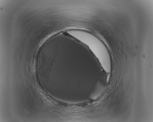 X0000080730387200701051104