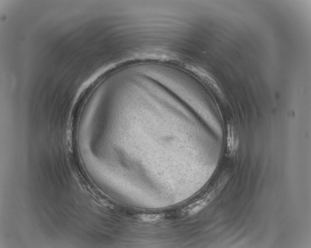 X0000080730388200701051104