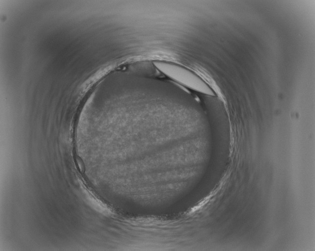 X0000080730389200701051104