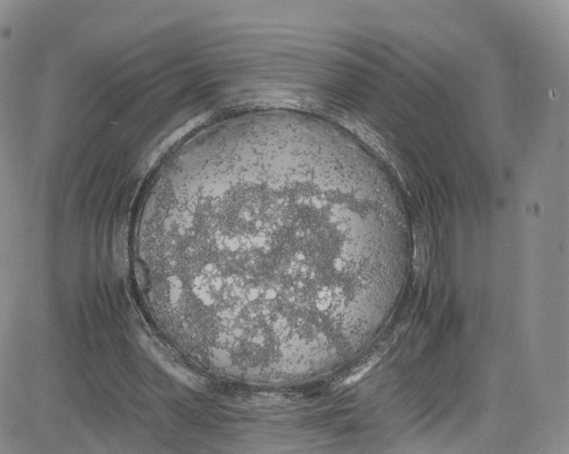 X0000080730390200701051104