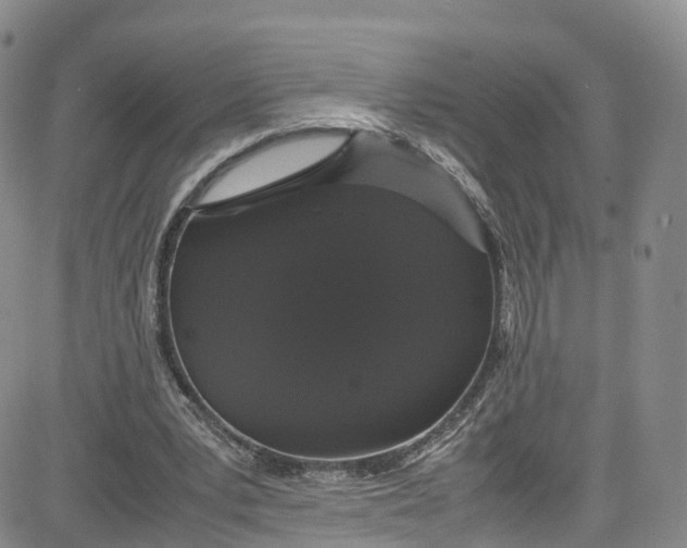 X0000080730391200701051104