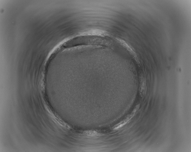 X0000080730392200701051104