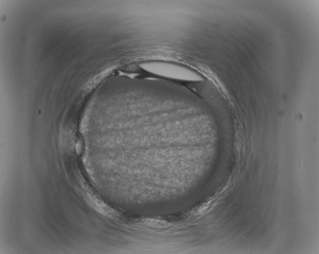 X0000080730393200701051104