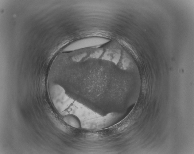 X0000080730394200701051104