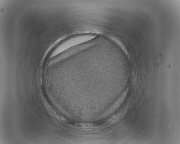 X0000080730395200701051104