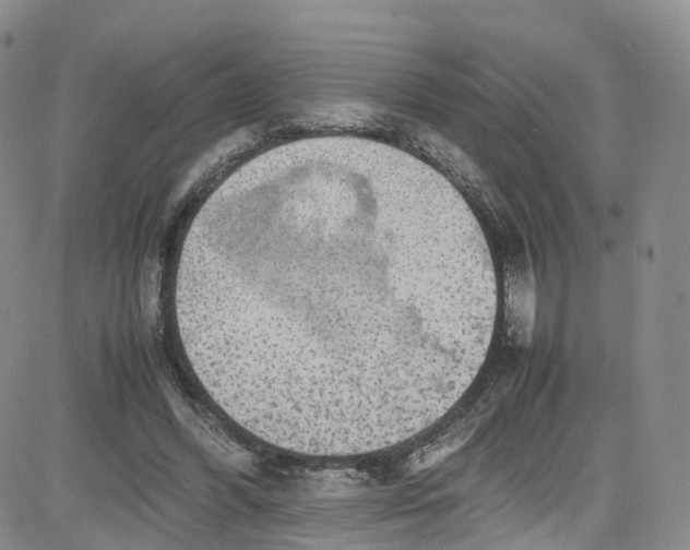 X0000080730396200701051104