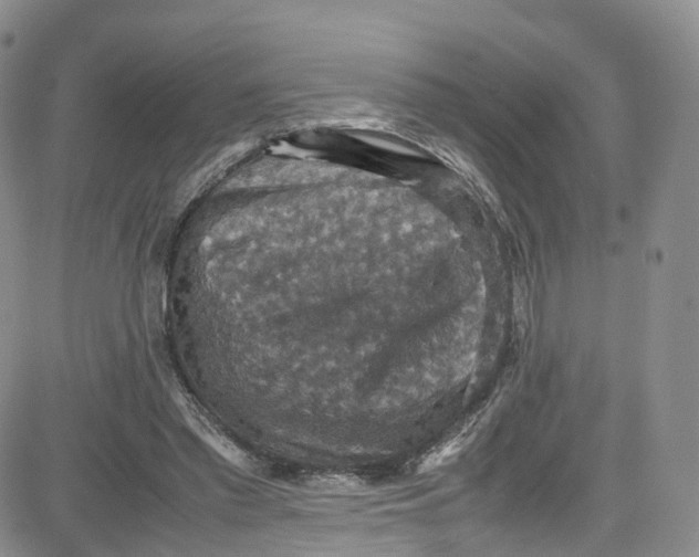 X0000080730397200701051104