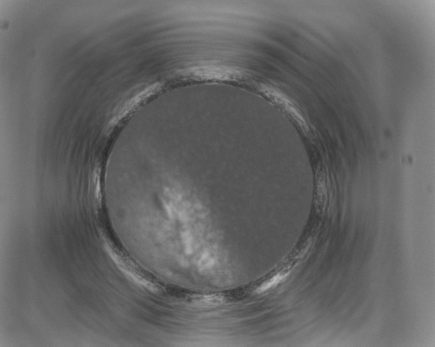 X0000080730398200701051104