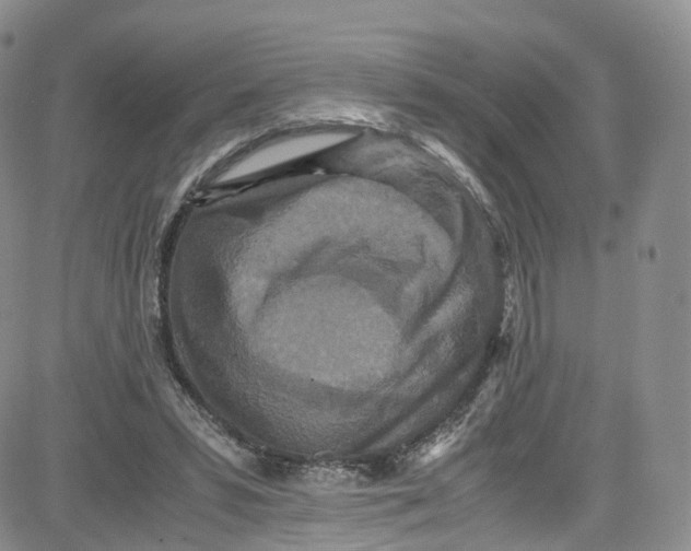 X0000080730399200701051104