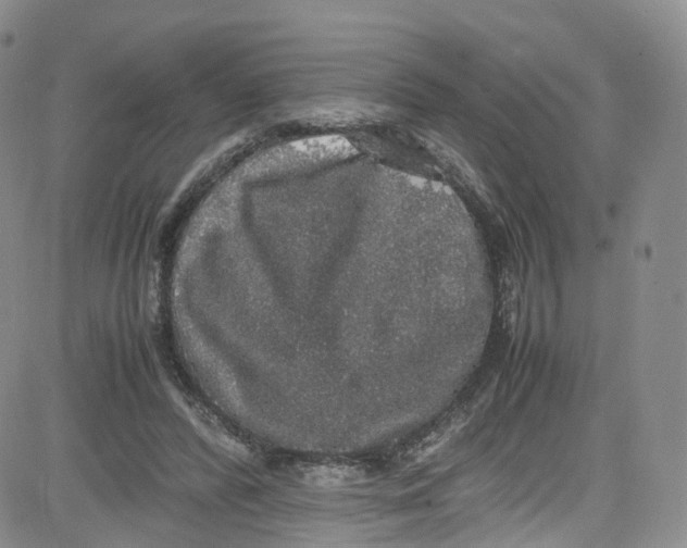 X0000080730400200701051104