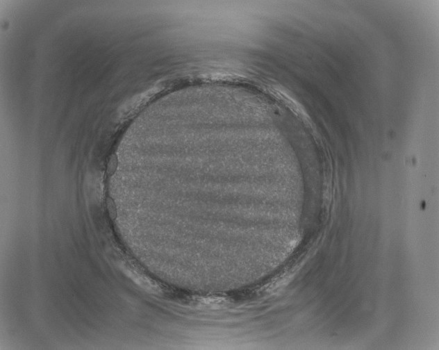 X0000080730401200701051104