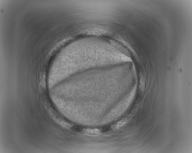 X0000080730403200701051104