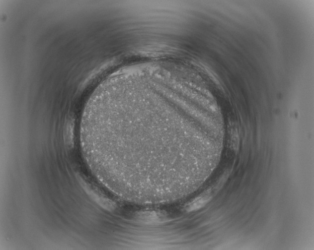 X0000080730404200701051104