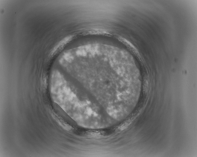 X0000080730405200701051104