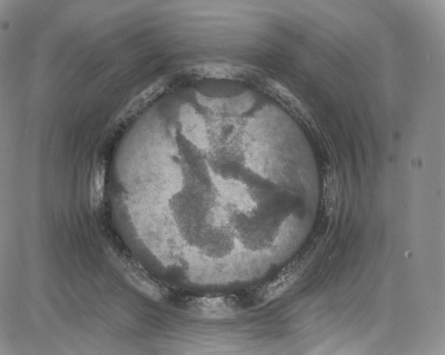 X0000080730406200701051104