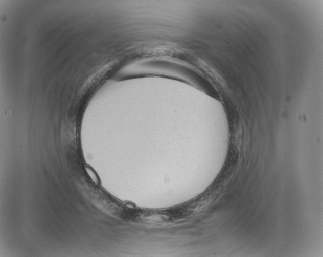 X0000080730407200701051104