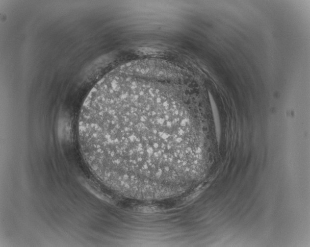 X0000080730408200701051104