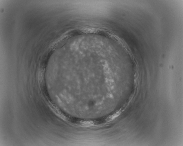 X0000080730409200701051104