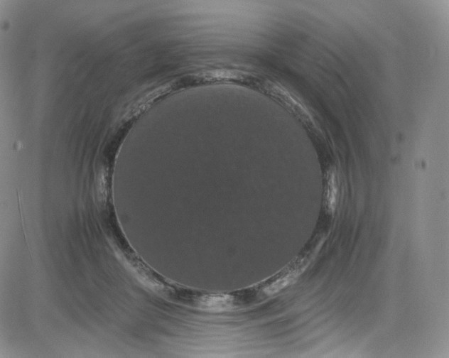 X0000080730410200701051104