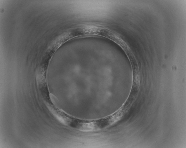 X0000080730411200701051104