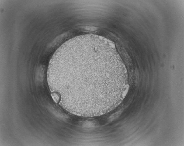 X0000080730412200701051104