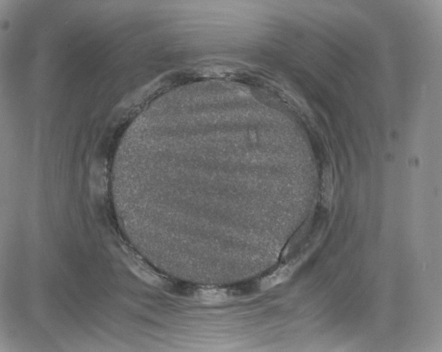 X0000080730413200701051104