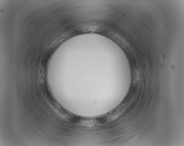 X0000080730414200701051104