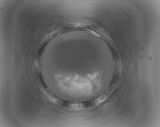 X0000080730415200701051104