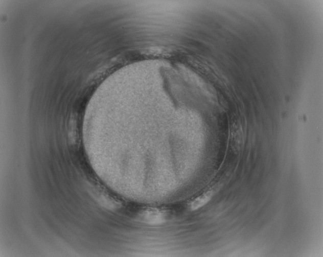 X0000080730416200701051104