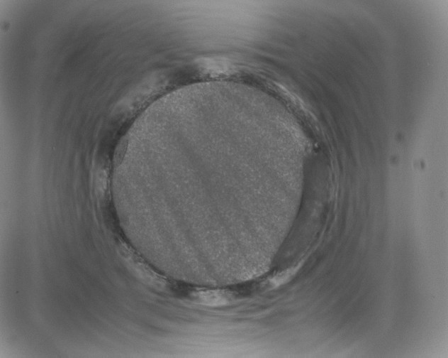 X0000080730417200701051104