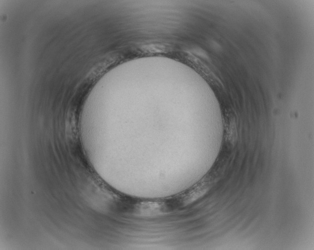 X0000080730418200701051104