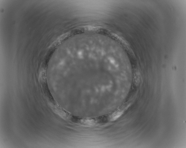 X0000080730419200701051104