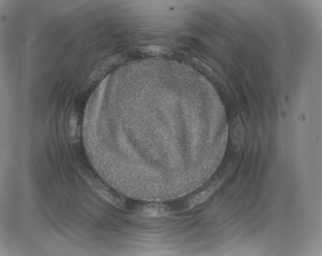 X0000080730420200701051104