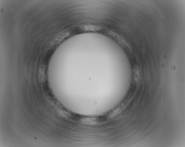 X0000080730422200701051104