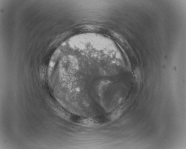 X0000080730423200701051104