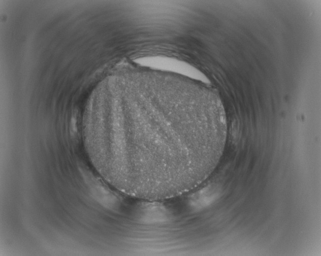 X0000080730424200701051104