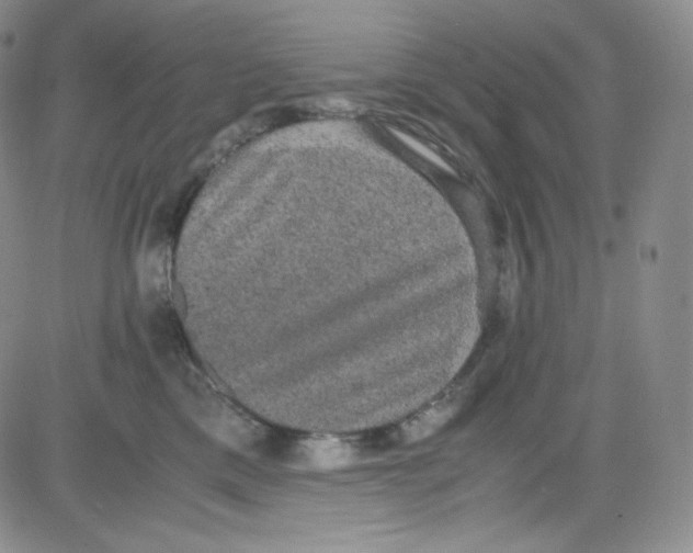 X0000080730425200701051104