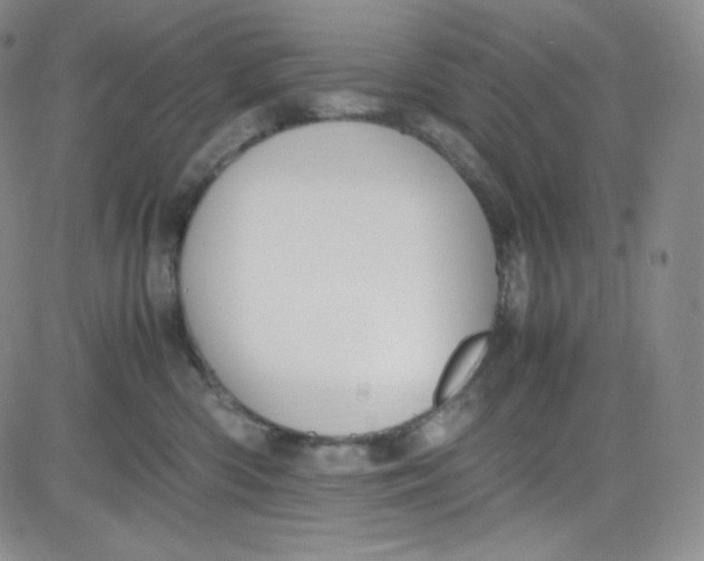 X0000080730426200701051104