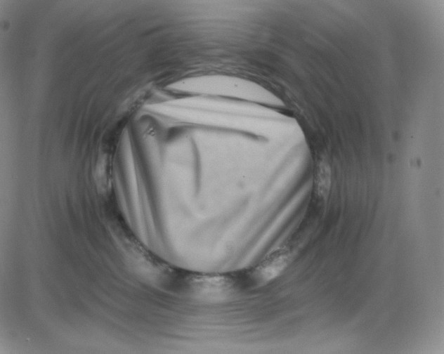 X0000080730428200701051104