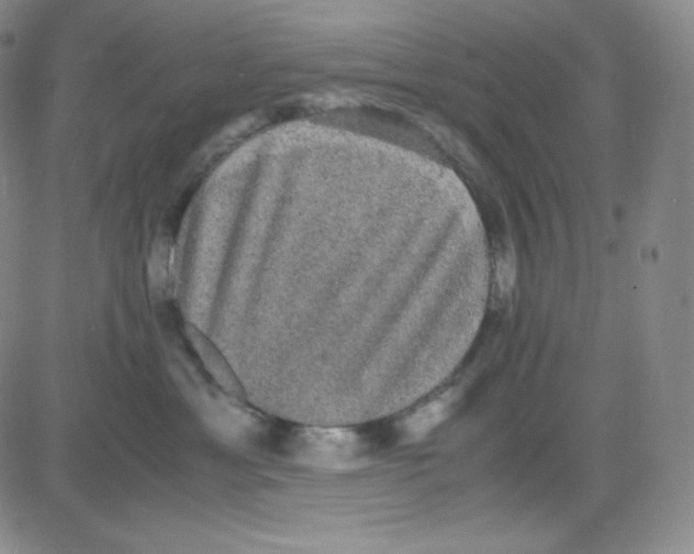 X0000080730429200701051104