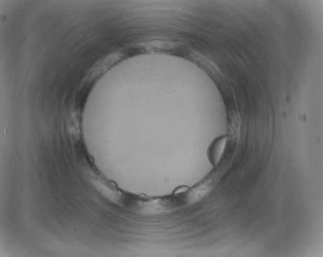 X0000080730430200701051104