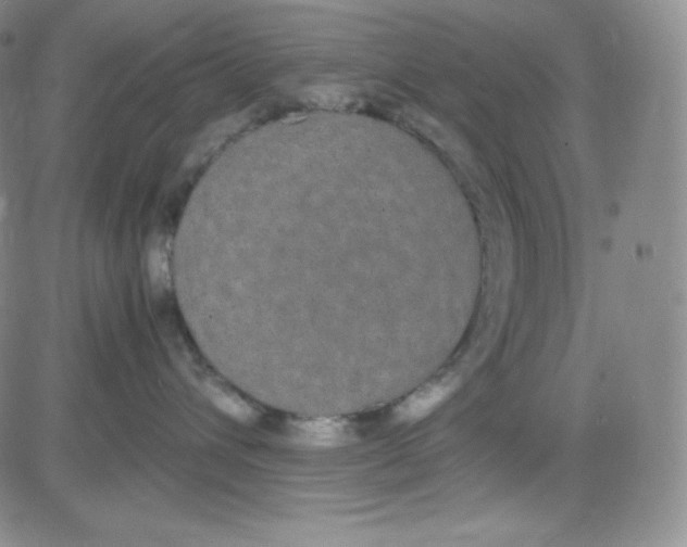 X0000080730432200701051104