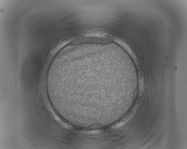 X0000080730433200701051103