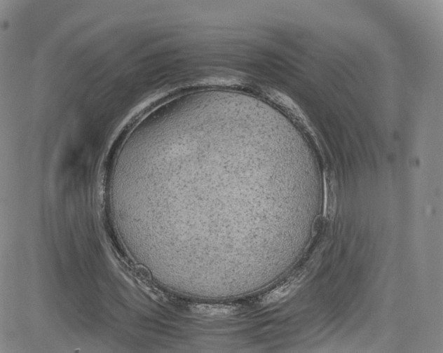 X0000080730435200701051103