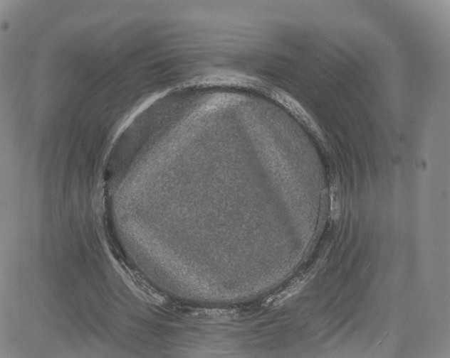 X0000080730436200701051103