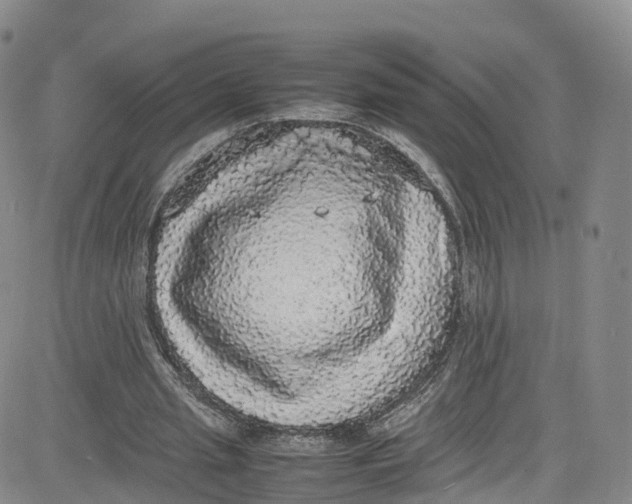 X0000080730437200701051103